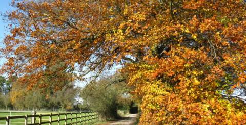Oxford in Autumn Taking a UK Staycation This Autumn